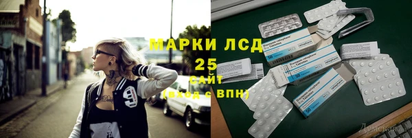 стаф Арсеньев