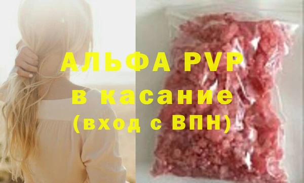 стаф Арсеньев