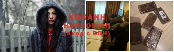 стаф Арсеньев