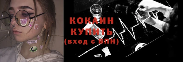 стаф Арсеньев